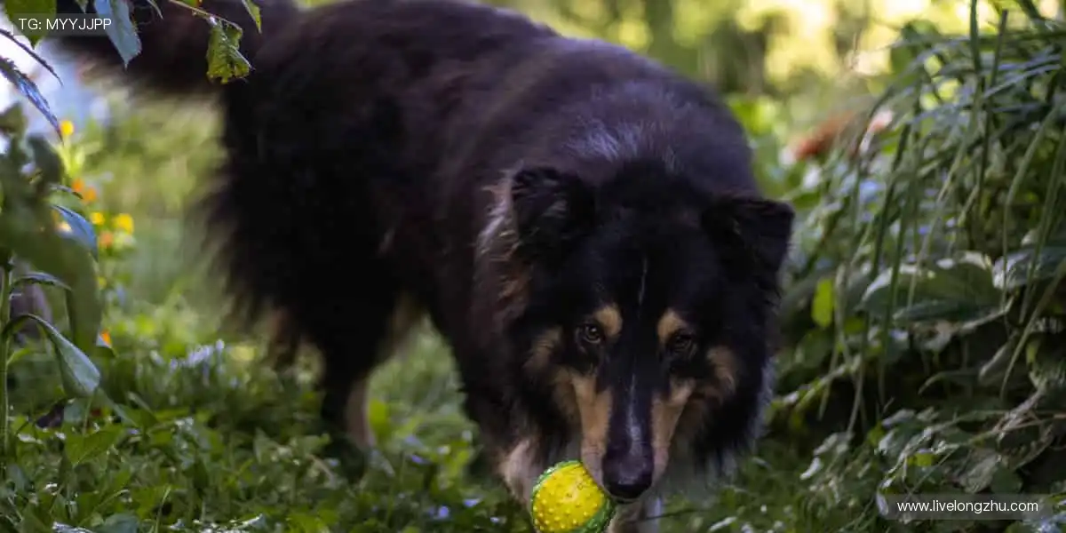 🏀 体育社区,球迷家园!分享你的激情,结交同好👥💬