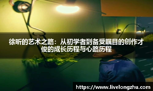 徐昕的艺术之路：从初学者到备受瞩目的创作才俊的成长历程与心路历程
