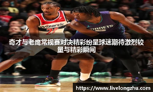 龙珠体育直播