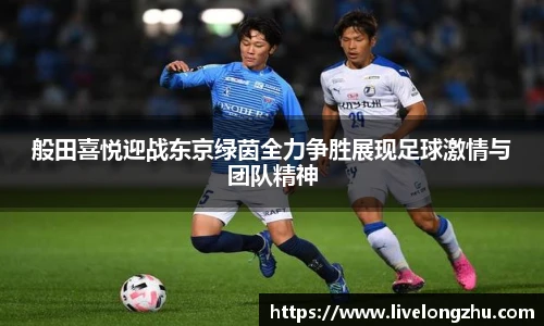 龙珠直播